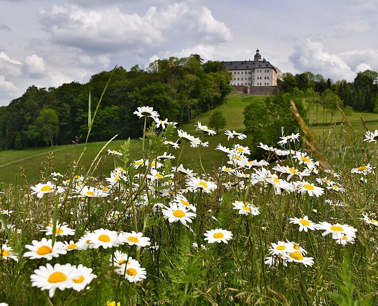  (Foto Böhme, Frauenstein)