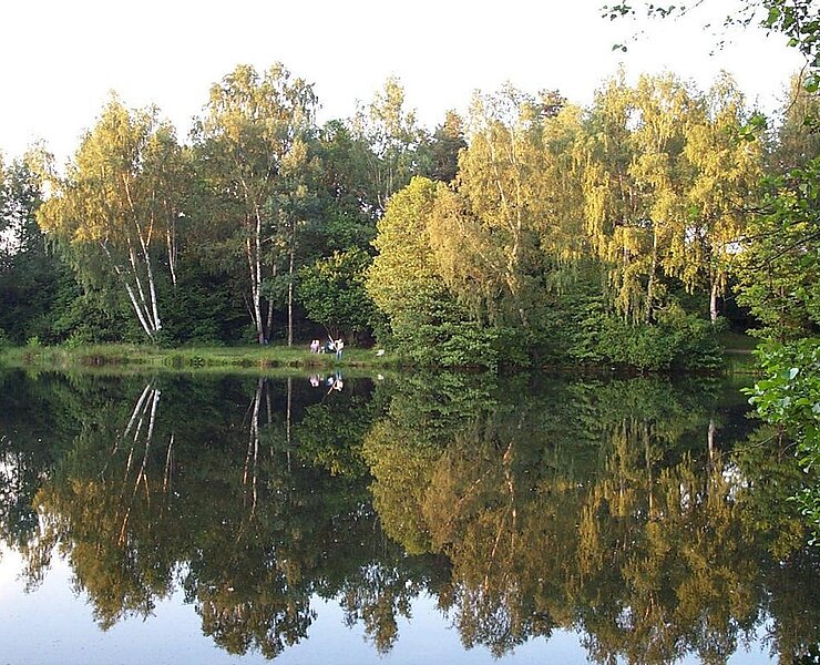 Roßner Teich (Stdtverwaltung Schneeberg)