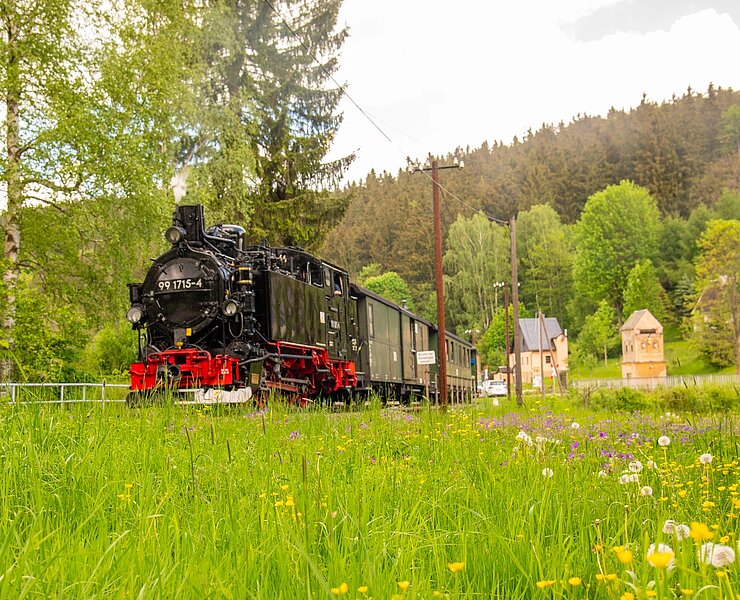 Dampffahrten in den Frühling bei der Preßnitztalbahn (Jürgen Herold, IG Preßnitztalbahn)