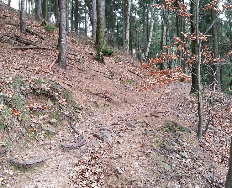 Zschopautalweg im Herbst ()