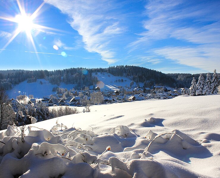 Winterlandschaft rund um den Kuhberg ()