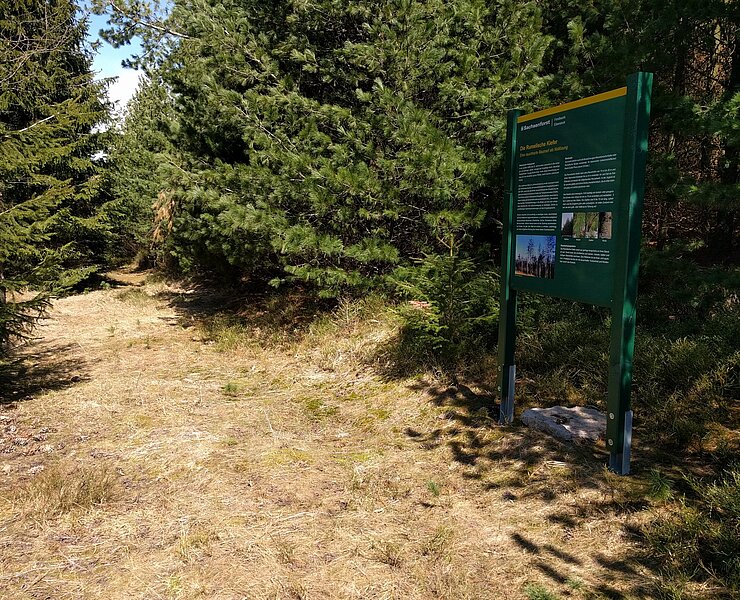 naturnaher Wanderweg um den Gipfel (Henry Pansch)
