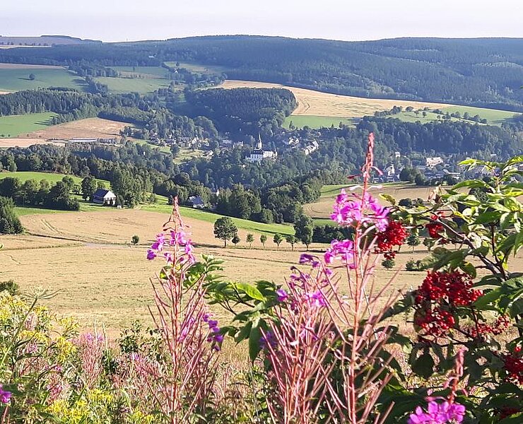 Ausblick vom Schwartenberg (Undine Weise Neuhausen Tourismus)