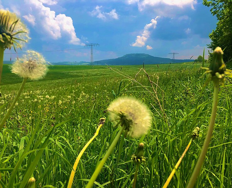 Firstenweg bei Cranzahl mit Blick auf den Bärenstein (Andreas Göbel)