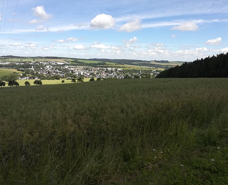 Panoramablick (Stadt Zwönitz)