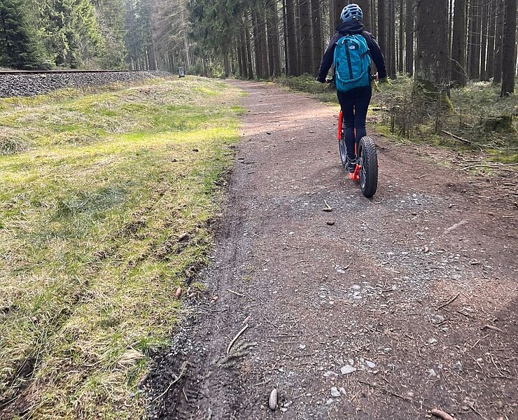 Waldweg (Julian Baldauf)