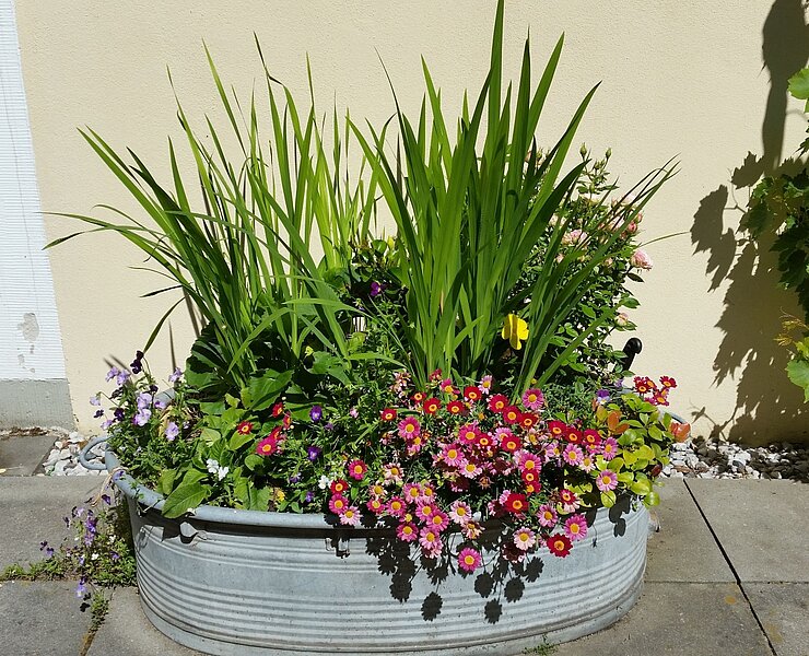 Terrasse ()