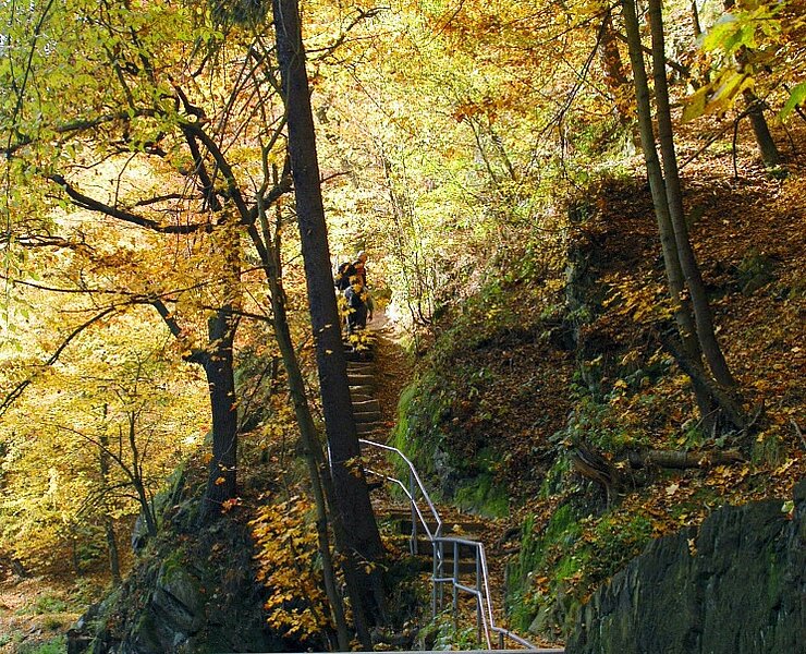 Felsentreppe im Spechtritzgrund ()