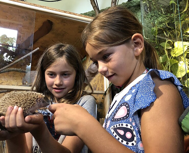 Zoo der MInis - Clara, Isobel und Kleiner Igeltanrek ()