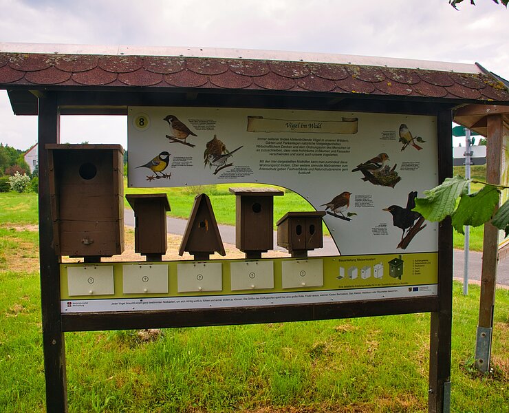 Walderlebnispfad Wechselburg - Station 8 (Bastian Rakow)