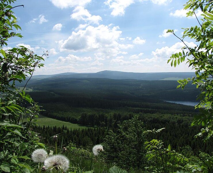 Blick vom Bärenstein auf den Fichtelberg (Ronny Schwarz)