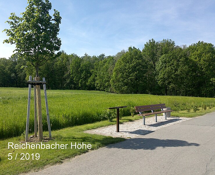 Reichenbacher Höhe ()