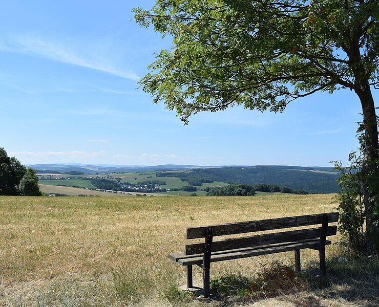Aussicht Dittersdorfer Höhe (Corinna Bergelt)