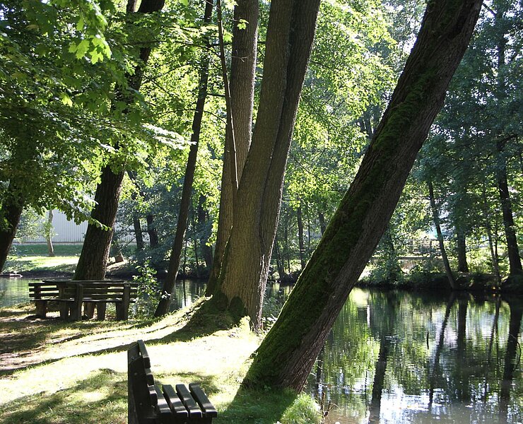 Hammerteich (Stadt Zwönitz)