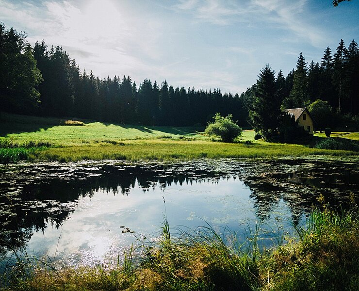 Schwemmteiche bei Sayda (Tourismusverband Erzgebirge e.V. / Dan Zoubek)