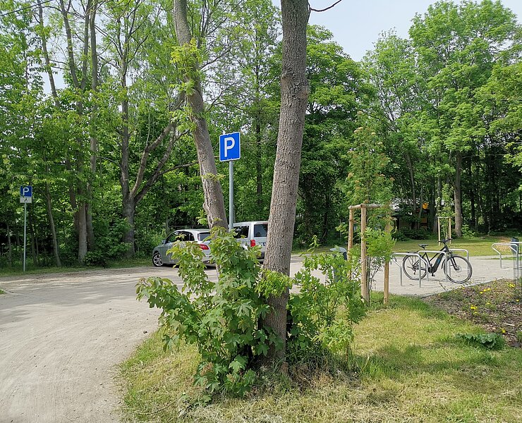 Parkplatz Rastplatz "Alte Mühle" Markersdorf (Bastian Rakow)