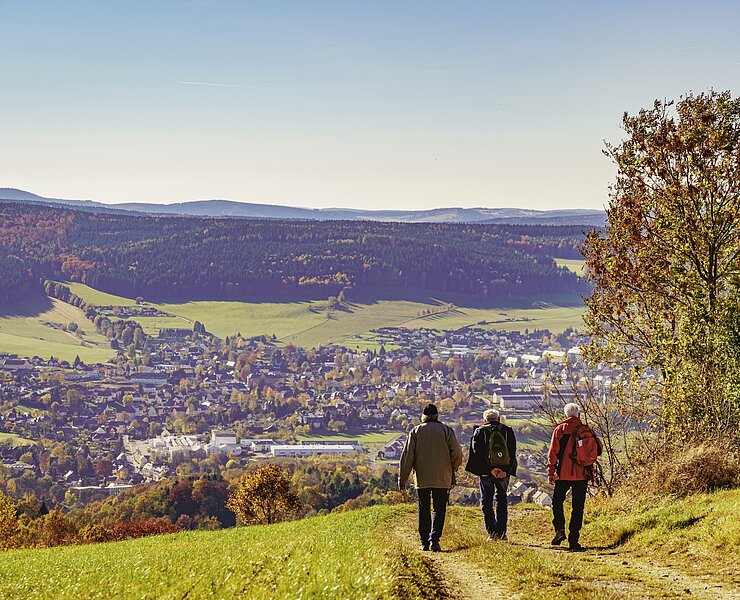 Foto: Dirk Rückschloss (Wanderbarer Silberberg PM)