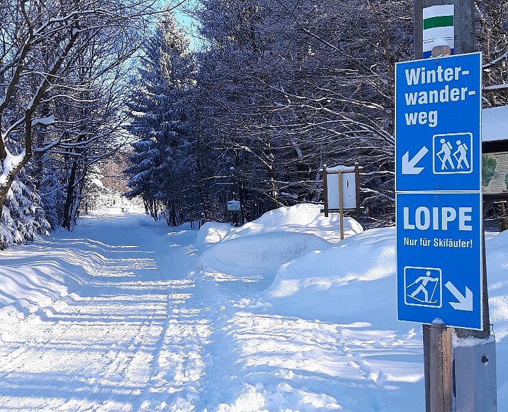 Winterwandern in Deutscheinsiedel (Undine Weise)