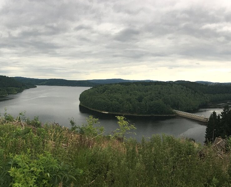 Ausblick auf den Stausee (Matthias Kleinke, Erzgebirge Erfahren)