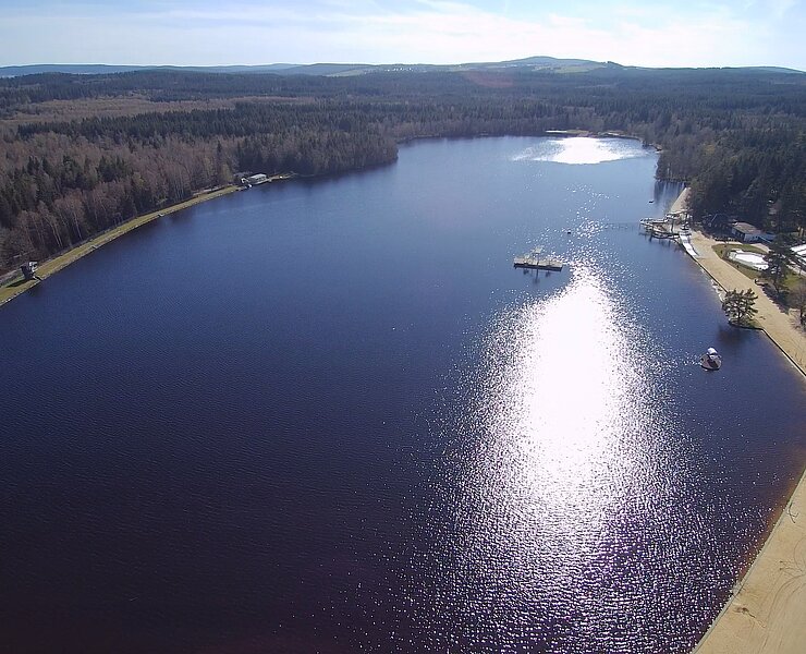 Filzteich (Steve Mehlhorn)