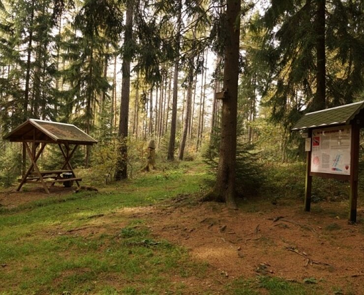 Kleiner Hirschenstein (Kirchberger Natur und Heimatfreunde des Naturschutzbundes Deutschlands Ortsgruppe Kirchberg e.V.)