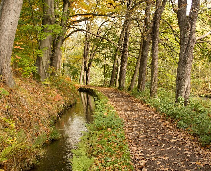 Schneeberger Floßgraben (WFE GmbH Annaberg-Buchholz)