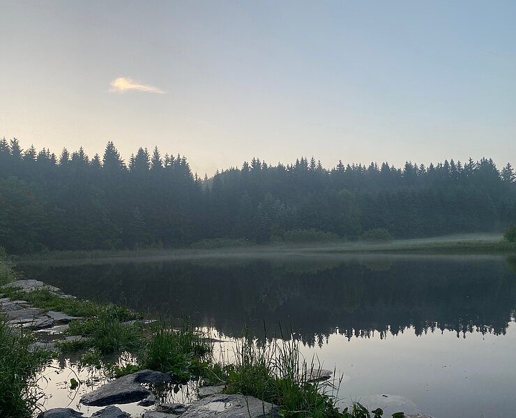 Schwemmteiche (Tourist Info)