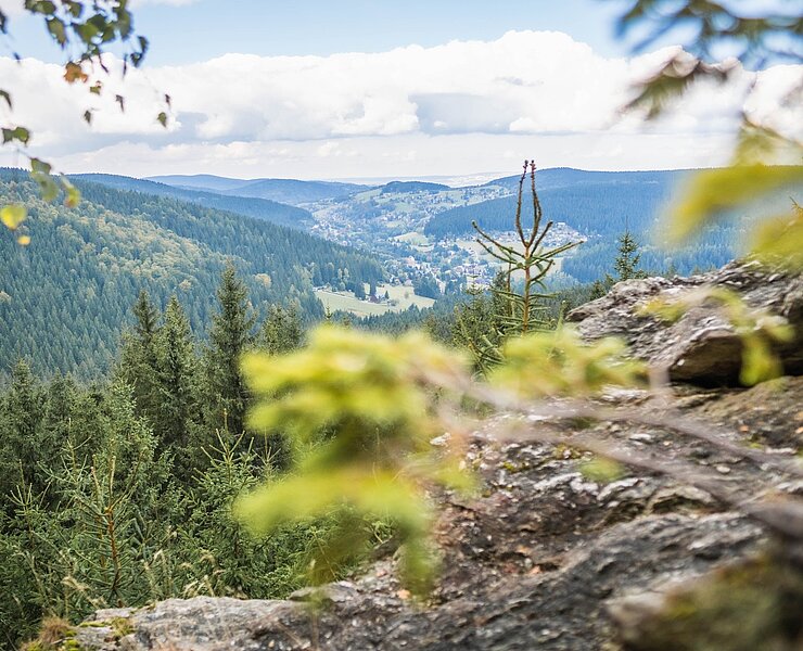 Taubenfels Blick auf Rittersgrün ()