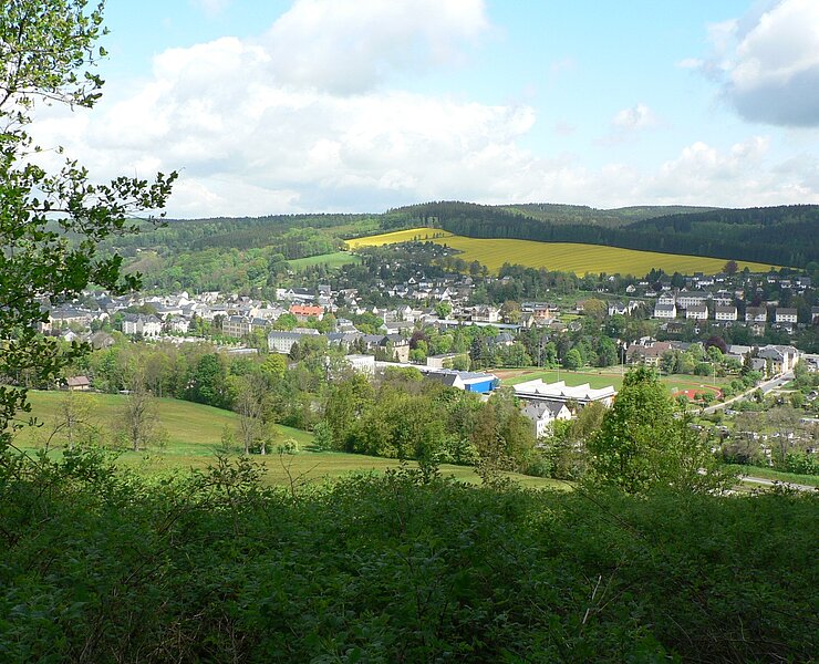 Blick vom Rübenauer Weg auf Olbernhau (Matthias Drechsel)