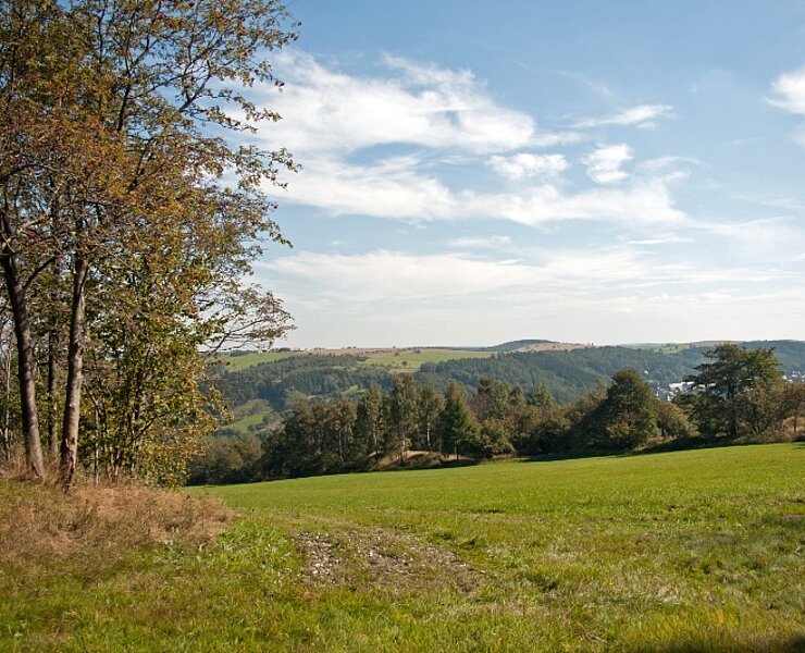Zwitterstock Tiefer Erbstolln und Bergwerke Neufang -Haldenlandschaft (J. Kugler)