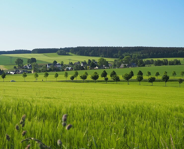 Blick auf Hormersdorf (Vanessa Schüppel)