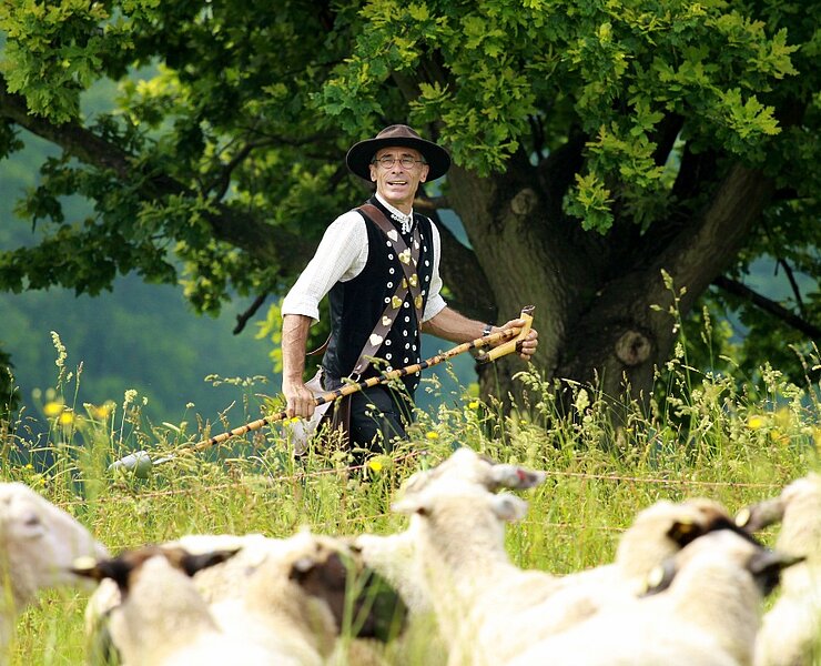 Schäferei und Spinnstube Drutschmann (Schäferei und Spinnstube Drutschmann)