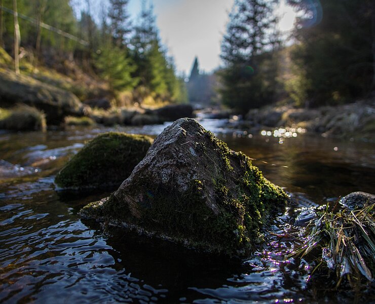Steinbachtal bei Erlabrunn (Tobias Rudelt)