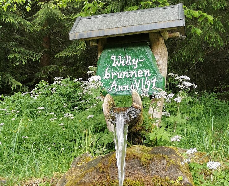 Willy Brunnen Katzesteiner Wiesen (Theresa Seidler)