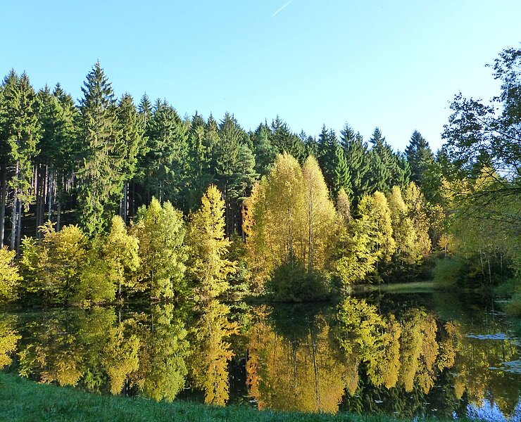 Christlgrund zwischen Zwönitz und Thalheim ()