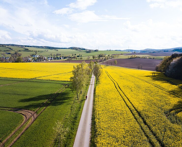 Panorama-Tour um Drebach (Patrick Eichler)