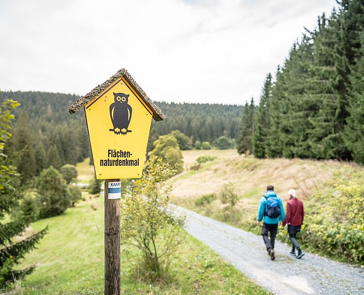 beim Auersberg (Dennis Stratmann)