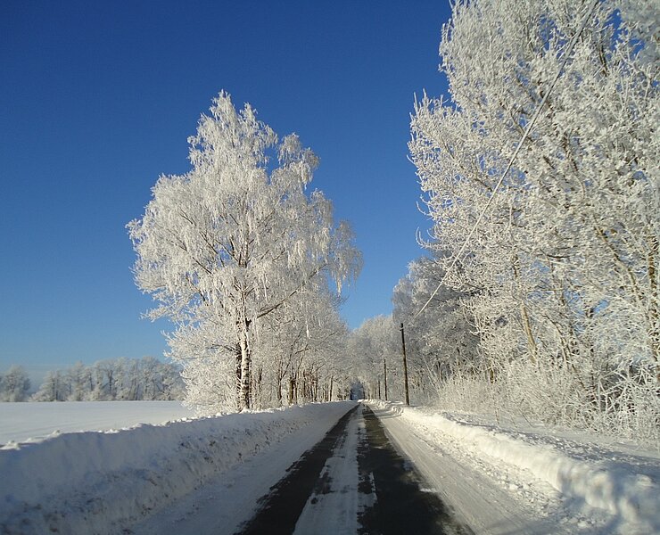 Werdauer Wald - Winter ()