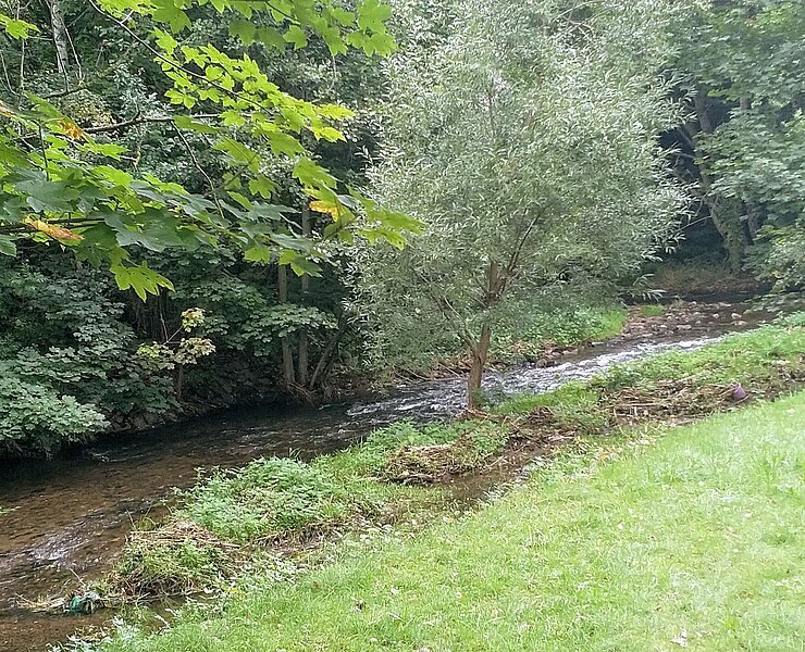 Rödelbach-Hartmannsdorf.jpg (FreiraumMarketing Meier)