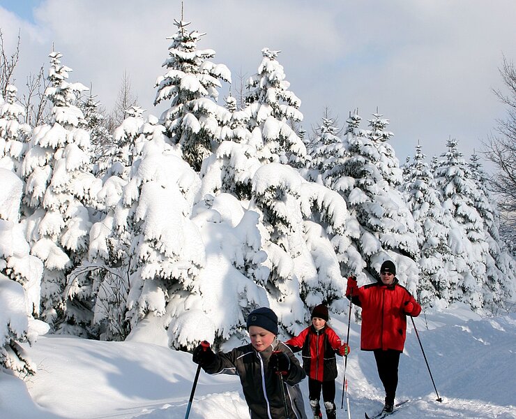 Auf der schneesicheren Schwartenbergloipe (Fotografin Eva Schalling, Seiffen)