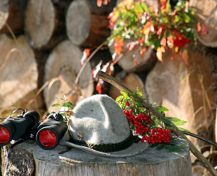 Wandern (E. Schalling)