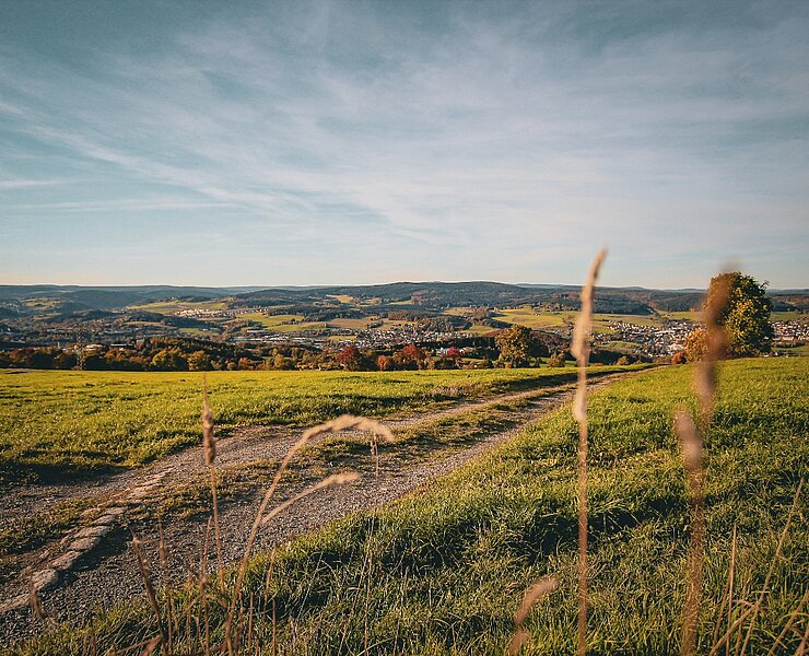 Ausblick Pilz Bernsbach (Theresa Seidler)