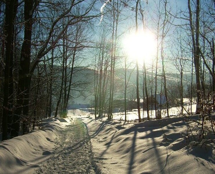 Winterstimmung (Matthias Drechsel)
