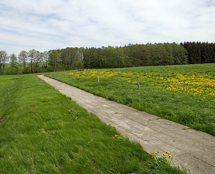 Aktive RWA Freiberg - Oberer Dörnthaler Kunstgraben (WFE GmbH Annaberg-Buchholz)