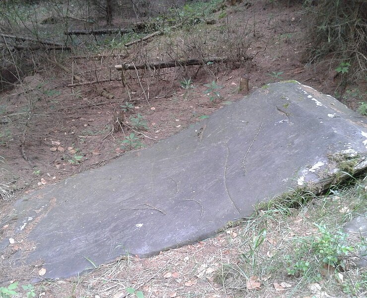 Tschinnerstein bei Brandow (Matthias Drechsel)