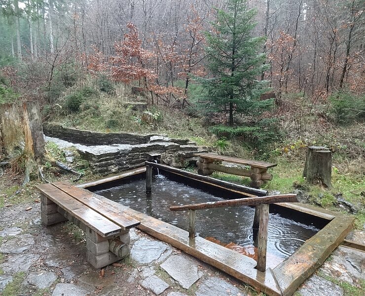 Wassertretbecken im Greifenbachtal ()