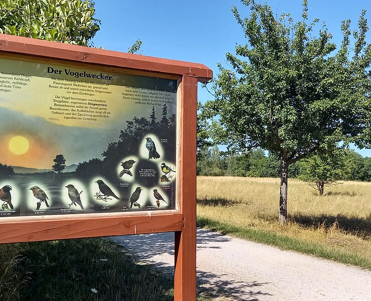 01 Auf den Infotafeln am Wegesrand gibt es viel Wissenswertes zur Natur zu erfahren.jpg ()