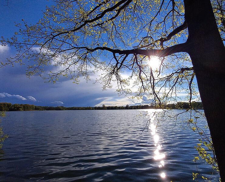 Abendstimmung am Stausee ()