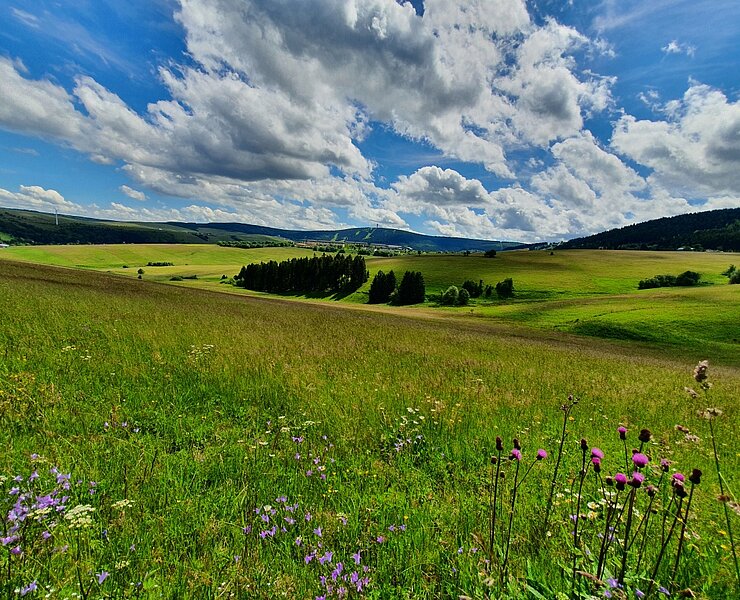Blick auf Schindelbachtal und Keilberg (Steve Görner)