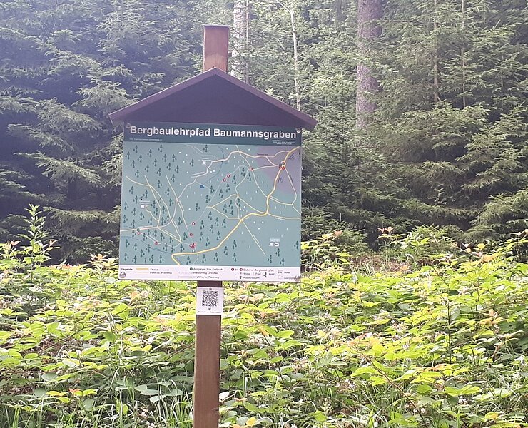Baumannsgraben_Ende Lehrpfad (Kathrin Metzner-Kloß)